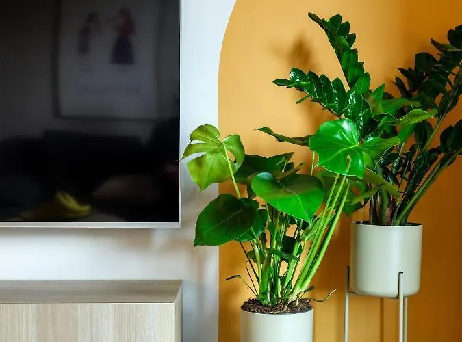 W Scislym Centrum Krakowa Z Parkingiem! Appartement *